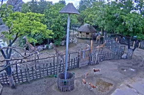 Zoo de Budapest Webcams de Budapest en línea