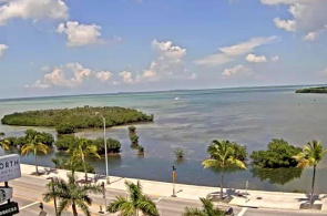 24 Norte - Cayo Hueso. Webcams de Key West en línea