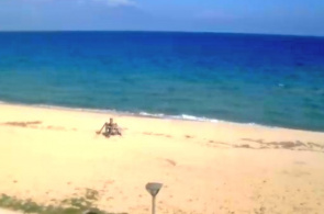 Webcam en vivo en la línea de playa en el pueblo de Sarti