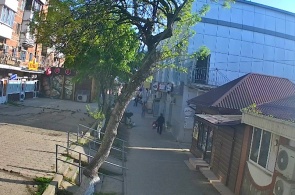 Callejón Pushkin. Cámaras web de Afipsky en línea