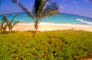 Cayo Tortuga Verde. Hotel Bita Breeze. Cámaras web de las Bahamas