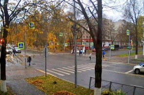 Cruce de Karl Marx Avenue y Vorovskogo. Cámaras web Kingisepp