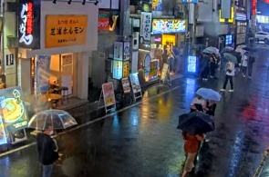 Kabukicho Shinjuku. Cámaras web de Tokio en línea