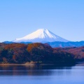 Los mejores lugares de Tokio, donde contemplar sin cesar los colores del otoño. Parte 2