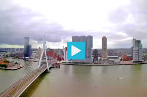 Puente Erasmus, North Shore. Webcams Rotterdam en línea