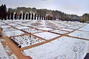 Parque Nacional Kislovodsk. Valle de las rosas. Webcams en Kislovodsk en línea