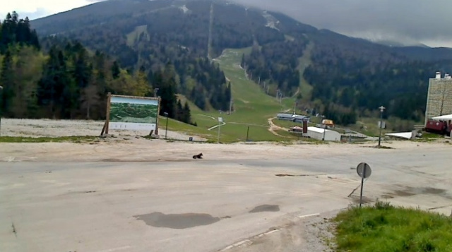 Monte Belashnitsa. Webcam de Bosnia y Herzegovina en línea