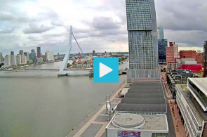 Puente Erasmus, costa sur. Webcams Rotterdam en línea