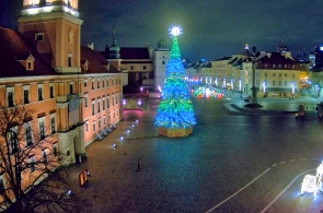 Plaza del Palacio (Castillo). Cámaras web de Varsovia en línea