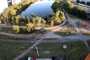 Lago de gaviotas. Webcams Severodvinsk