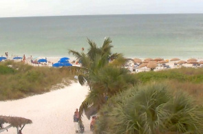 Webcam de Sandy beach "Siesta Beach" en línea