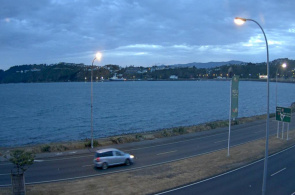 Costa de Wellington en tiempo real