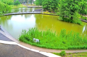 Lago Bicaz. Debrecen cámaras web en línea