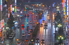 Encrucijada de Kabukicho. Cámaras web de Tokio en línea