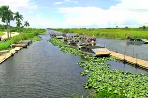 Everglades Holiday Park. Webcams Fort Lauderdale en línea