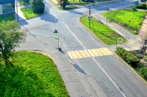 Paso de peatones en la carretera Strelnitsky. Cámaras web Krasnoye Selo
