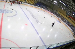 Cristal del Palacio de Hielo. Ángulo 2. Cámaras web en línea de Mezhdurechensk