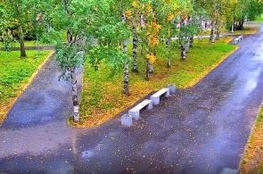 Parque Maysky en Galushina. Webcams Arcángel