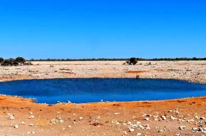 Pozo de agua en el Parque Nacional Etosha. cámaras web outjo