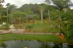 Webcam de Sarasota Jungle Gardens en línea