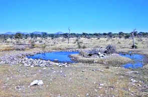 Abrevadero en la Reserva Natural Kambaku. Cámaras web Grootfontein