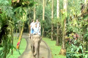 Parque de elefantes. Webcams Bali en línea