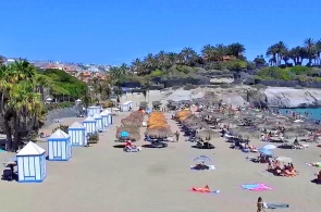 Playa del Duque. Tenerife cámara web en línea