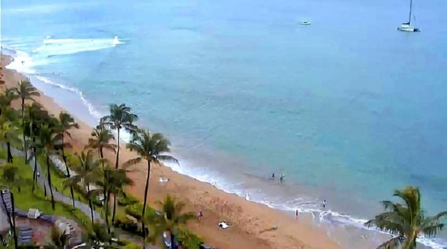 Webcam de Hotel The Westin Maui Resort & Spa en línea