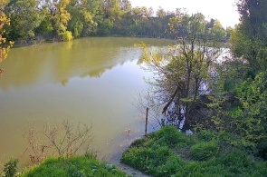 Río Afips. Cámaras web de Afipsky en línea