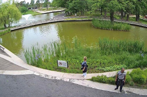 Parque Nadierde. Webcams de Debrecen en línea